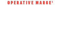 Key Ratios