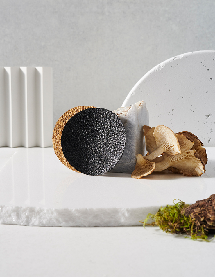 Mylo, a material that looks and feels just like leather (Photo)