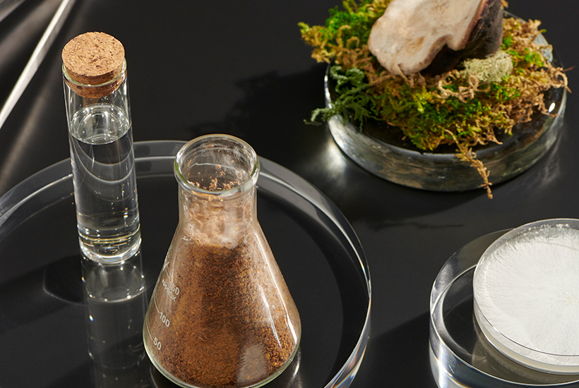 Mylo, a material that looks and feels just like leather (Photo)